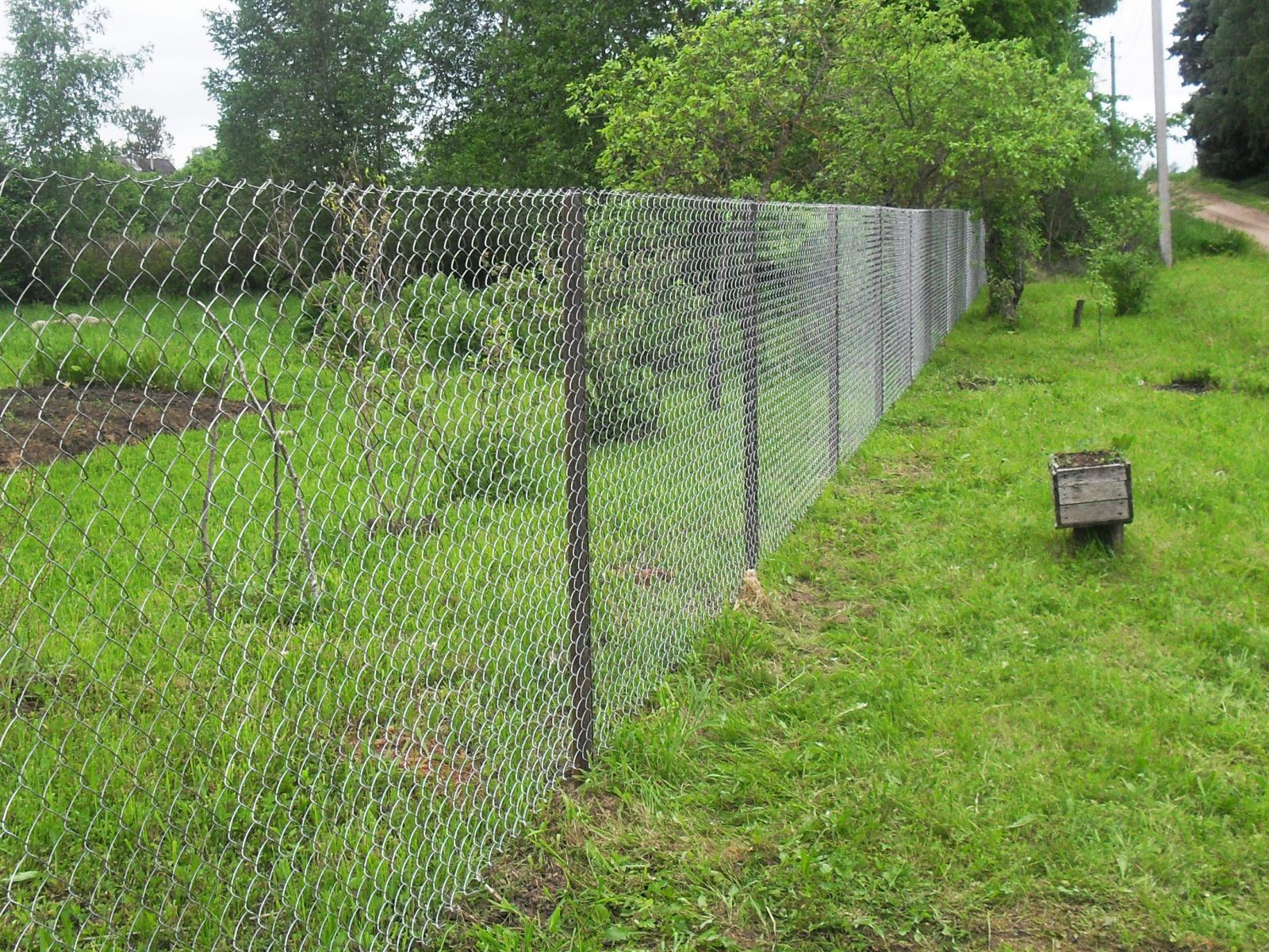 Забор рабица цена за метр работы. Забор с сетки рабицы. Красивый забор из сетки рабицы. Сетка рабица на даче. Дешевый забор из сетки.